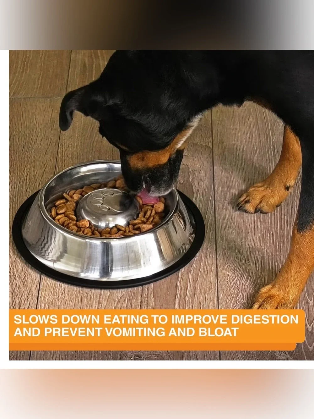 Neater Pets Non-Skid Non-Tip Stainless Steel Slow Feeder Dog Bowl, 2-cup